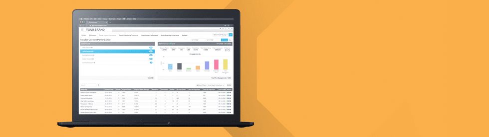 Brand to Local Social Audit inline